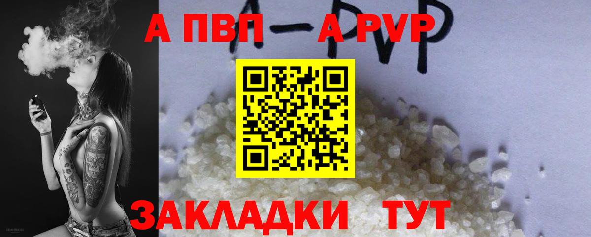 Альфа ПВП СК КРИС Печора